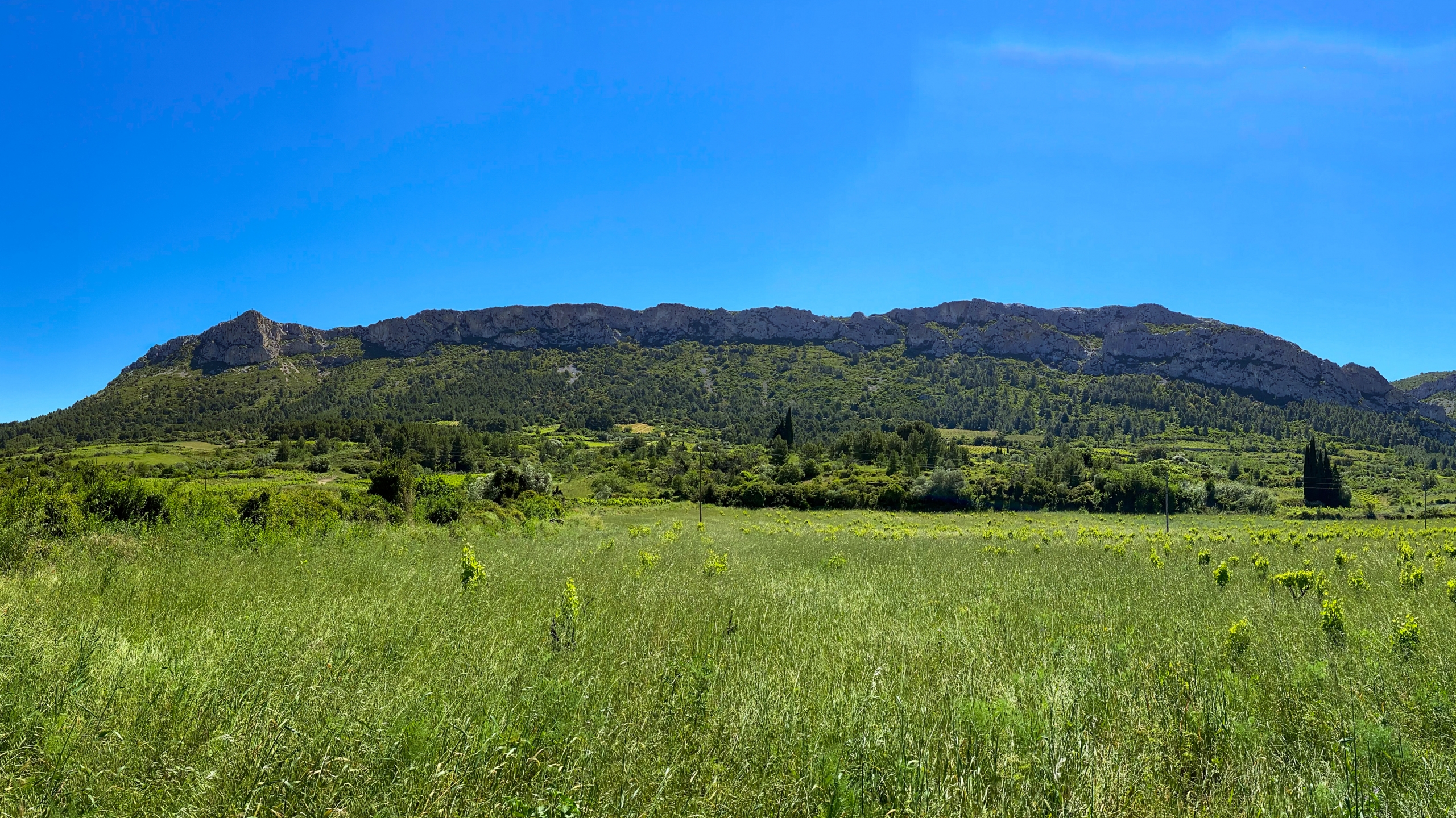 Camping de Tautavel — photo 2